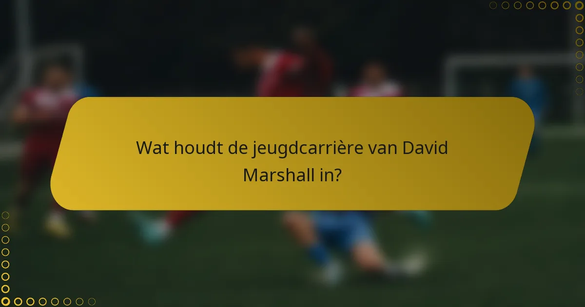 Wat houdt de jeugdcarrière van David Marshall in?